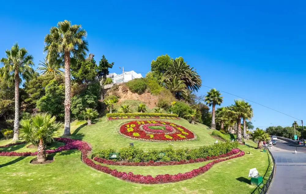 agencia seo viña del mar